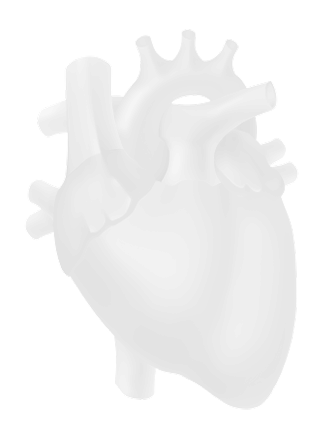 Heart Image